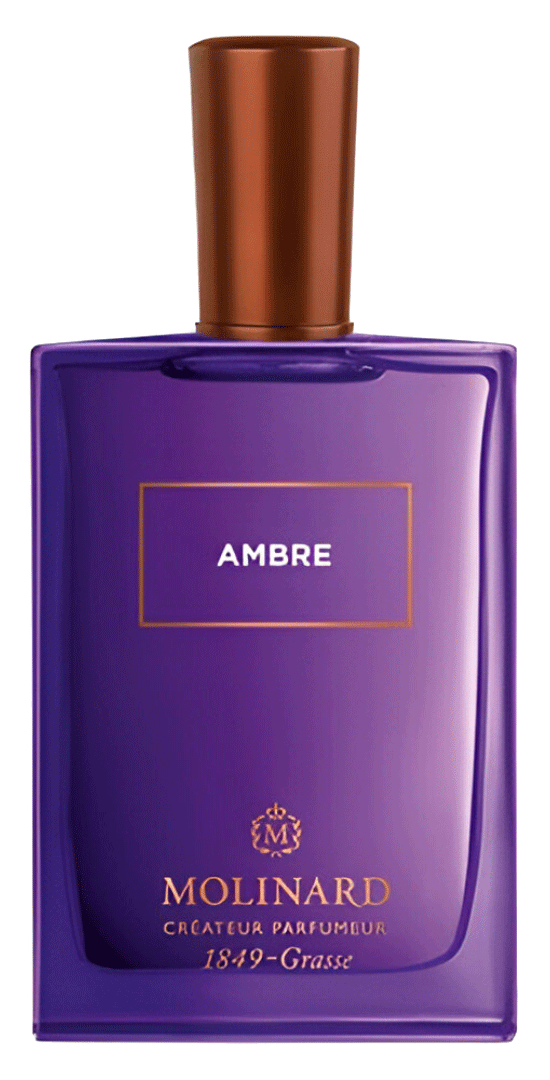 Ambre For Man/Woman