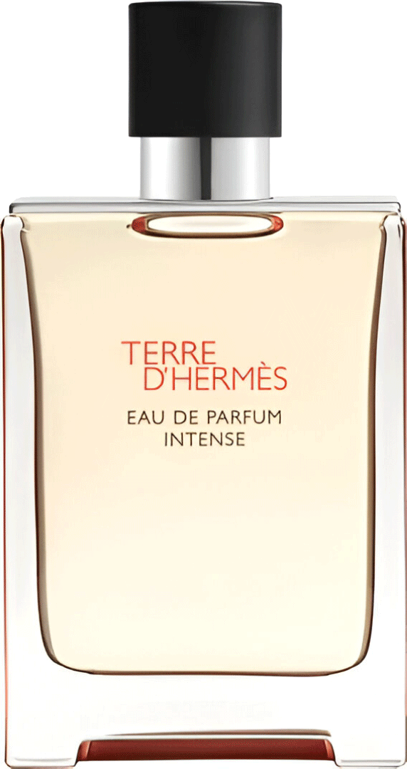 Terre D'Hermes EDP Intense