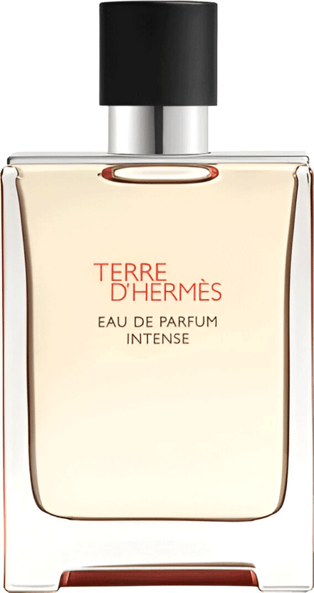 Terre D'Hermes EDP Intense