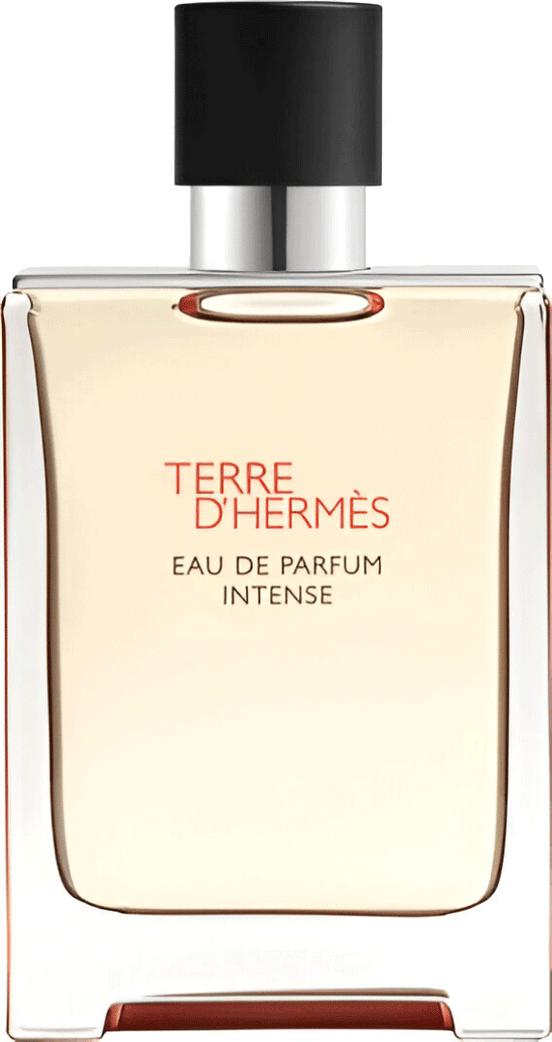 Terre D'Hermes EDP Intense