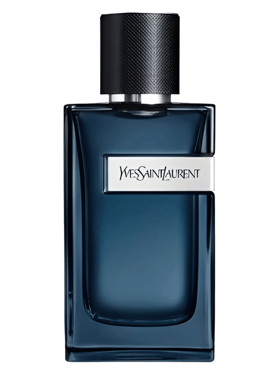 Y EDP Intense